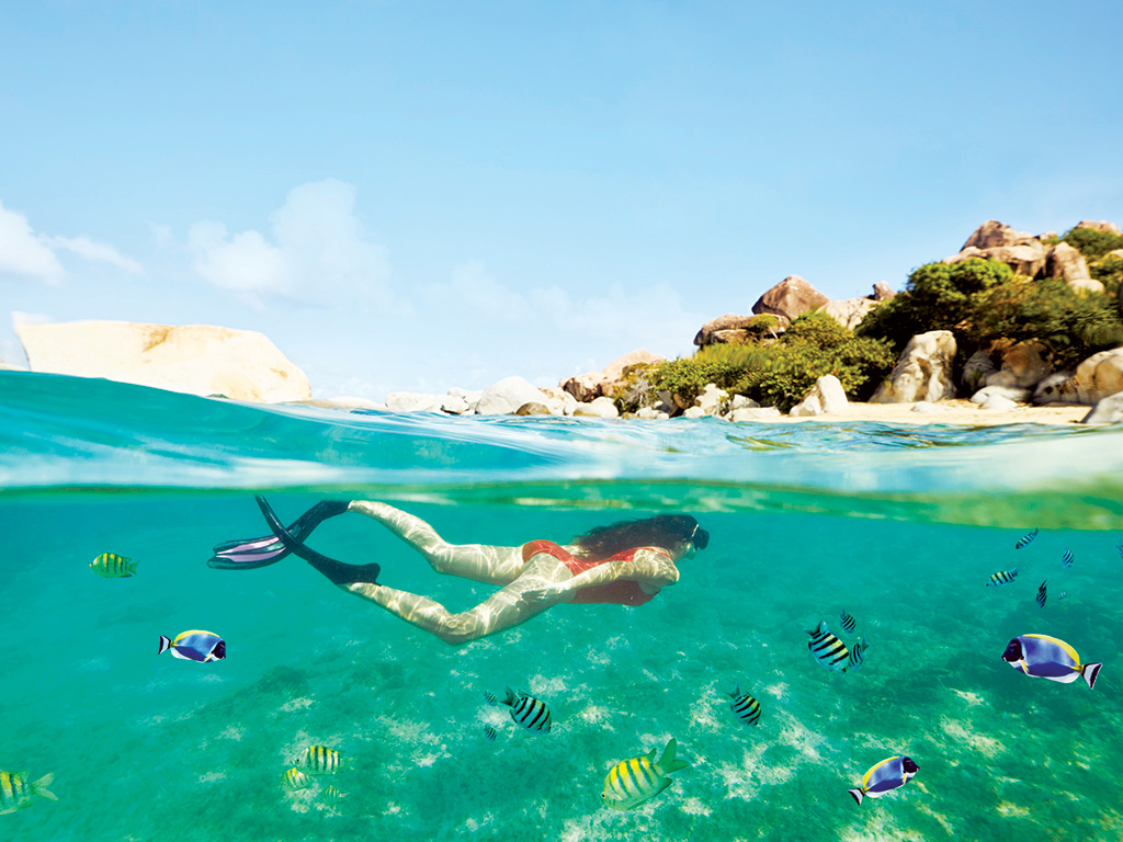  Summer Ideas & Offers